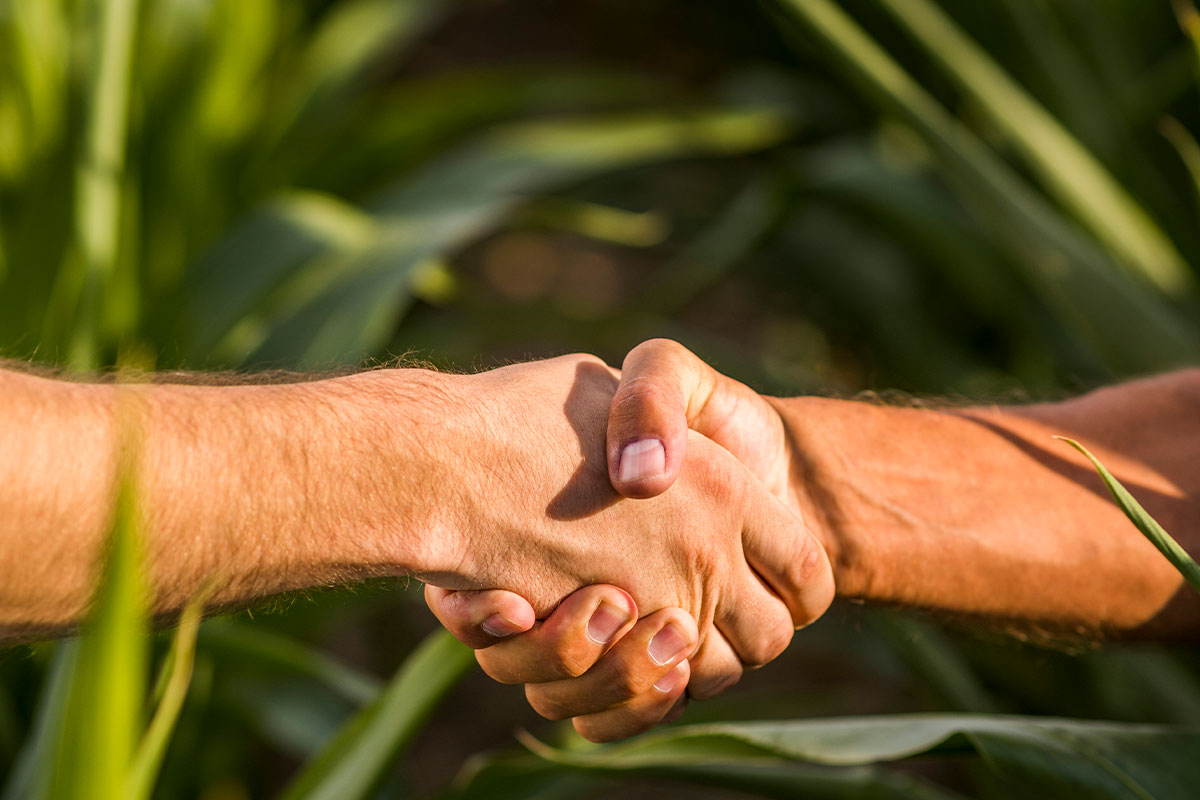 Imagen Representativa